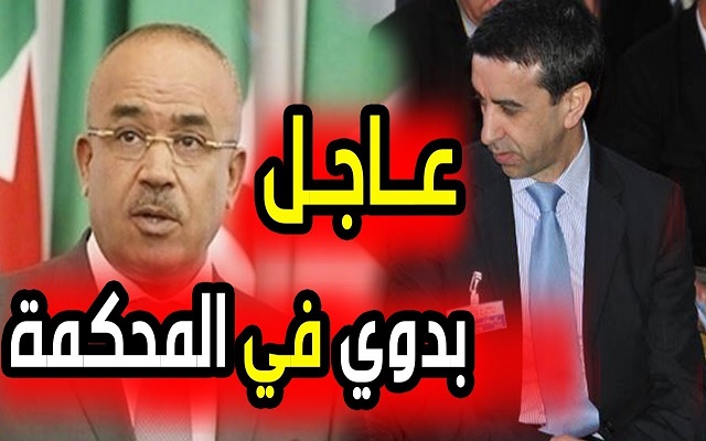 الملياردير علي حداد يورط معه الوزير الأول بدوي