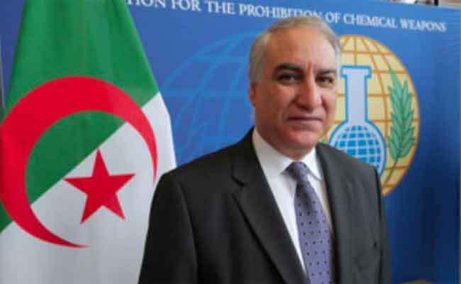 عيادي : “خيار المجلس التأسيسي يحمل في طياته فكرة التشكيك “