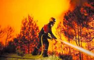 تواصل عملية إخماد الحريق الذي شب بغابة باينام بالعاصمة
