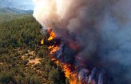 حريق غابوي يتلف 24 هكتار من المساحات الغابوية ببلدية وادي الفضة بالشلف