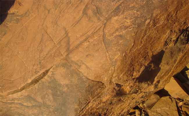 وهران تحتضن معرض حول الفن الصخري الى غاية 31 يوليو…