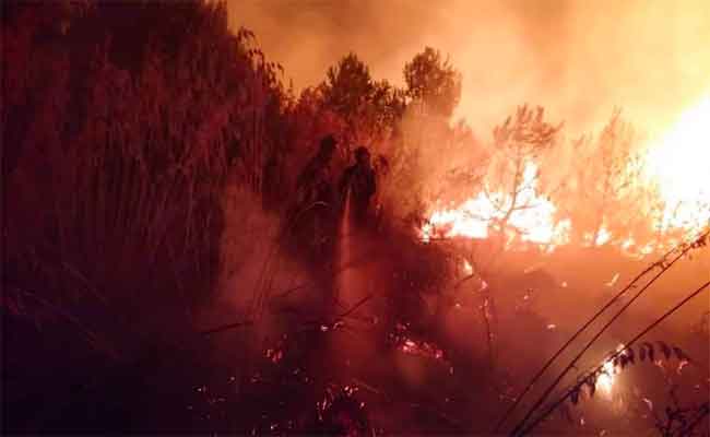 نشوب حريق بحظيرة “دنيا بارك” بالعاصمة دون تسجيل خسائر مادية أو بشرية