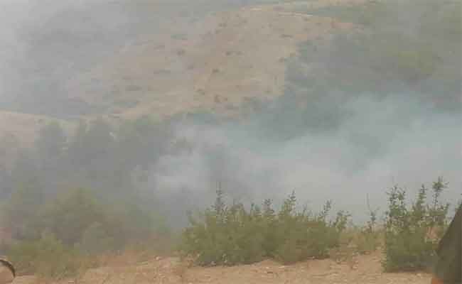 اتلاف أزيد من 15 هكتارا بغابة “السحانين” ببلدية لرجام بتيسمسيلت