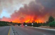 النيران تندلع بغابات ديدوش مراد و قسنطينة و تدخل طائرتا هليكوبتر لإخماد ألسنة النيران المهولة