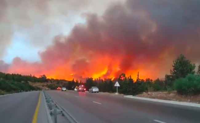 النيران تندلع بغابات ديدوش مراد و قسنطينة و تدخل طائرتا هليكوبتر لإخماد ألسنة النيران المهولة