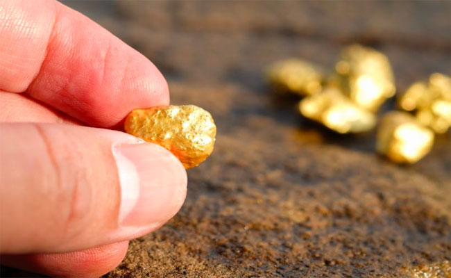 الجيش يوقف 28 منقبا عن الذهب