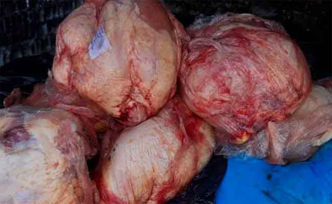 حجز أزيد من قنطار من الدجاج الفاسد كان موجها للاستهلاك بسكيكدة