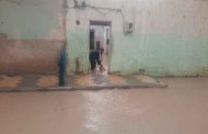 مياه الأمطار تجتاح عشرات المنازل عبر عدة أحياء بتبسة