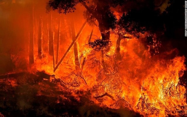 حالة طوارئ في كاليفورنيا مع انتشار الحرائق