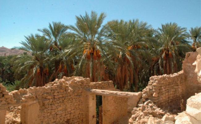 اكتشاف لوحة فسيفسائية جديدة ببلدية نقرين بتبسة…