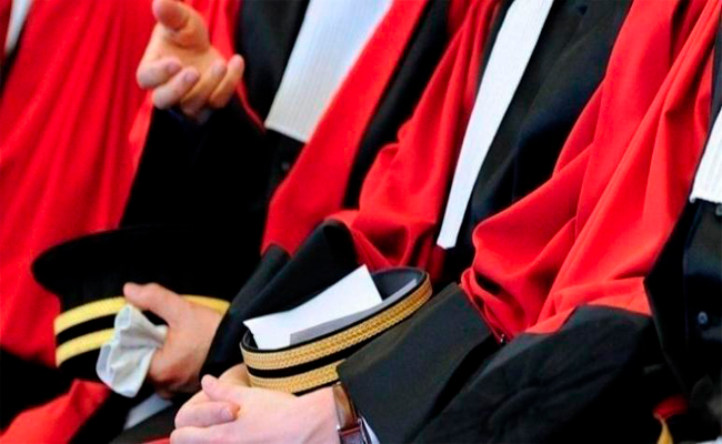 نقابة القضاة تطلب لقاء تبون لهذه الأسباب