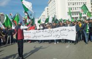 الحراك الشعبي في جمعته الـ53 : احتفاء شعبي بمرور سنة من عمر الحراك الجزائري