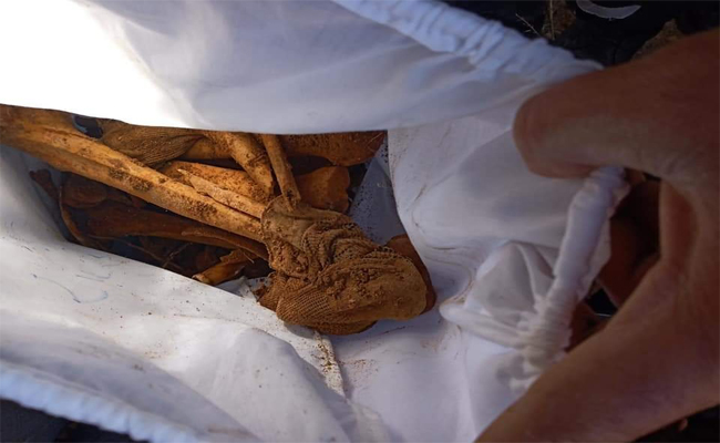 إعادة دفن 5 شهداء في ذكرى يوم الشهيد بعد اكتشاف رفاتهم في مكان مهجور بالسبعبن بتبارت