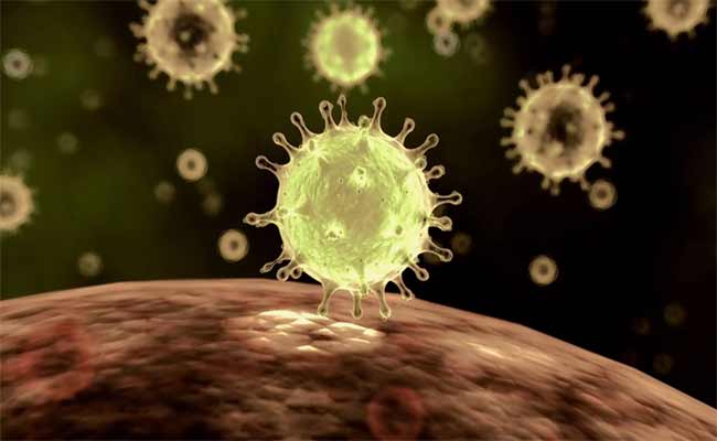 فيروس كورونا يعلق التظاهرات الفنية والثقافية في الجزائر…