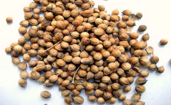 ما هي الفوائد العديدة التي توفرها الكزبرة الجافة…؟