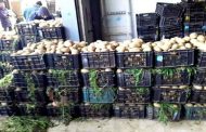 إخراج مخزون 4000 قنطار من البطاطا من مخازن تيزي وزو