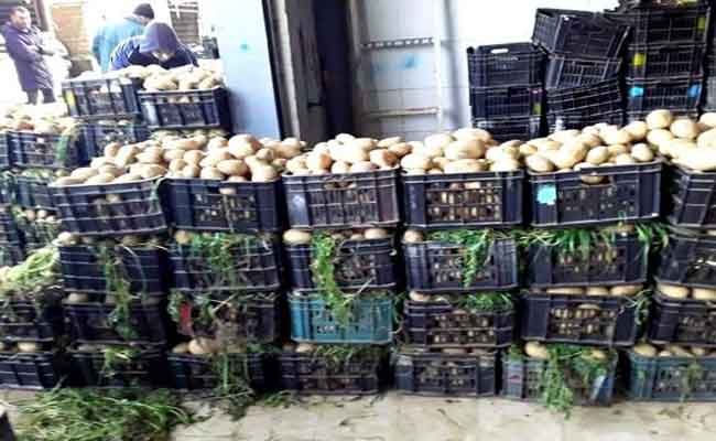 إخراج مخزون 4000 قنطار من البطاطا من مخازن تيزي وزو