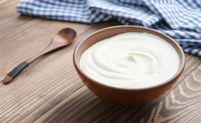 رجيم الزبادي فقط…كيف يؤثر على الجسم؟ وكم ينزل…؟