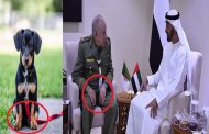 هل تنقل الإمارات عملياتها الإرهابية من تونس إلى الجزائر