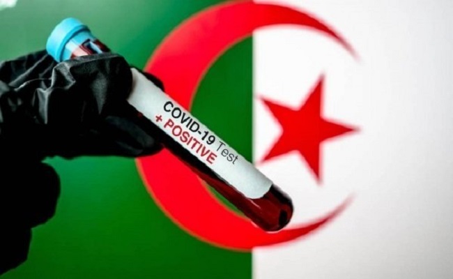 أهل الاختصاص 20 أبريل ذروت فيروس كورنا بالجزائر وعدد اختبارات قليل جدا