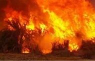النيران تلتهم نحو 2 هكتار من الأحراش والقصب بمدينة العطف بغرداية
