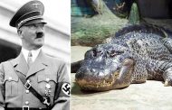 وفاة تمساح هتلر عن عمر 84 عاما...
