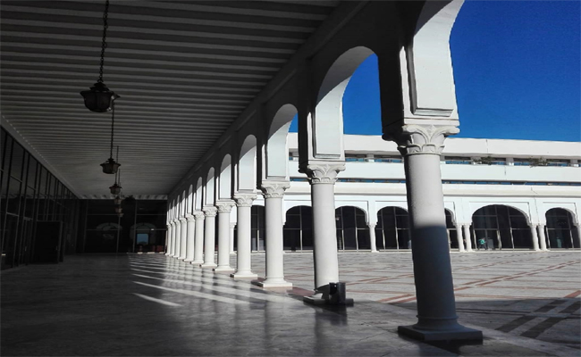 وزارة الثقافة تكرم أسماء فنية وثقافية في اليوم الوطني للفنان…