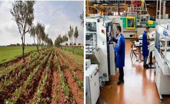 ترخيص مصالح البليدة باستئناف بعض الأنشطة التجارية