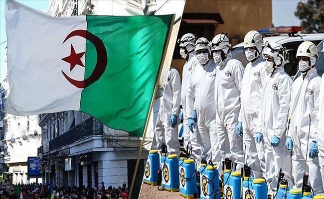 هل وصل وباء كورونا مرحلة الذروة في الجزائر