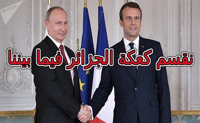 الجنرالات جعلوا الجزائر مثل العاهرة التي تبحث عن من يحميها من حضن روسيا إلى حضن فرنسا