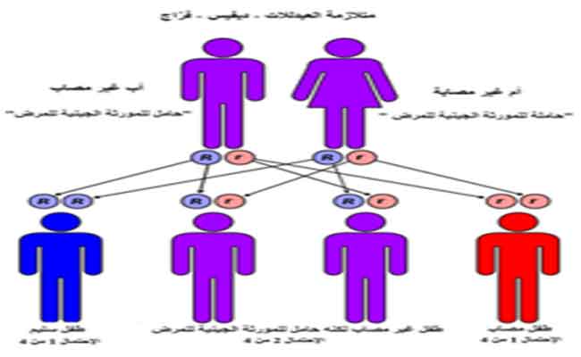 هل يمكن لمريض الأنيميا المنجلية الزواج…؟