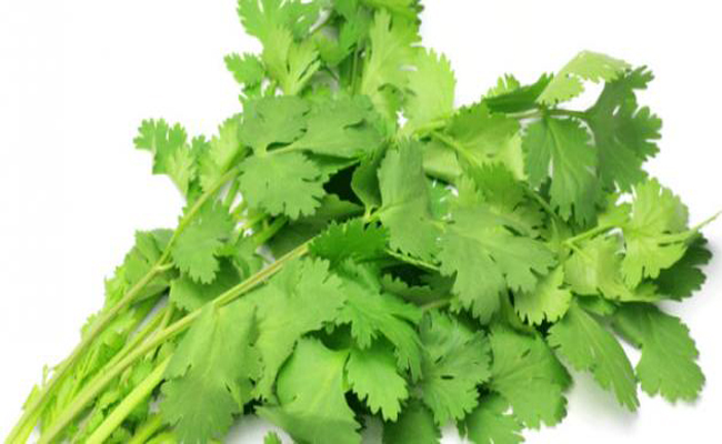 هل سمعتم من قبل برجيم الكزبرة؟ لن تصدّقوا فعاليته…!