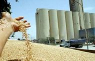 حبس 7 مسؤولين بديوان الحبوب بتنس بالشلف