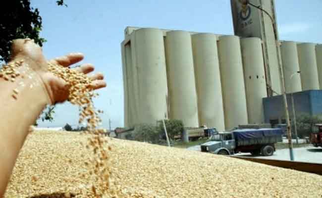 حبس 7 مسؤولين بديوان الحبوب بتنس بالشلف