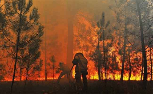 حرائق الغابات تتلف أزيد من 1.888 هكتار في ظرف أسبوع واحد