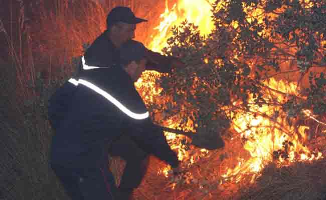 حريق يلتهم ما يناهز 100 هكتار من الغابات و بساتين الأشجار المثمرة بشمال سطيف…