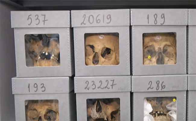 الجزائر تسترجع 24 رفاتا لقادة المقاومة الشعبية و رفاقهم يوم الجمعة