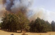الحرائق تتلف حوالي 500 هكتارا من غابة 