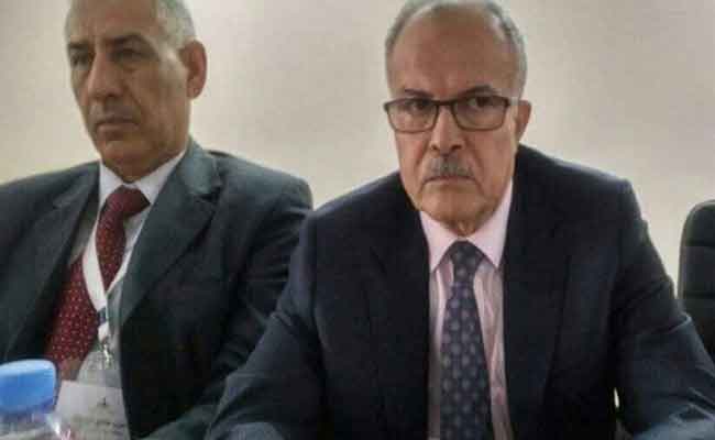 سعدي : الدستور الجديد يحتاج إلى انخراط جميع الجزائريين “حتى يشعروا بأن الدستور الجديد دستورهم”