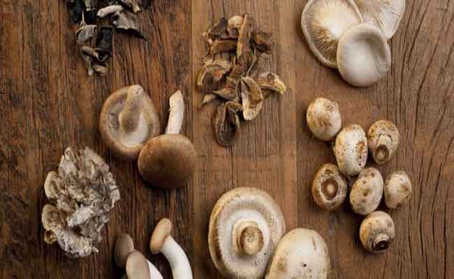 هل يُنصح بتناول الفطر أثناء الرجيم…؟