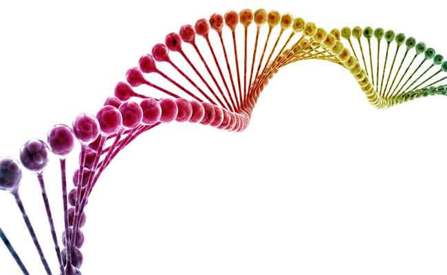 كلّ ما يجب أن تعرفوه عن الجينات ودورها في الجسم!…