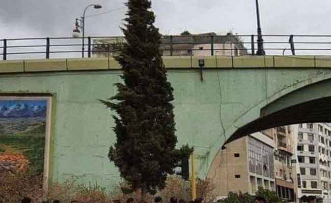 مراهقة ترمي نفسها من فوق جسر بوسط المدينة الجديدة بتيزي وزو