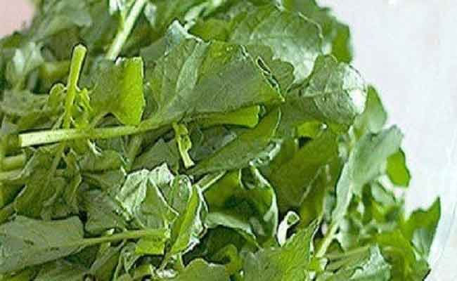 هل تناول الجرجير يرفع الضغط؟…