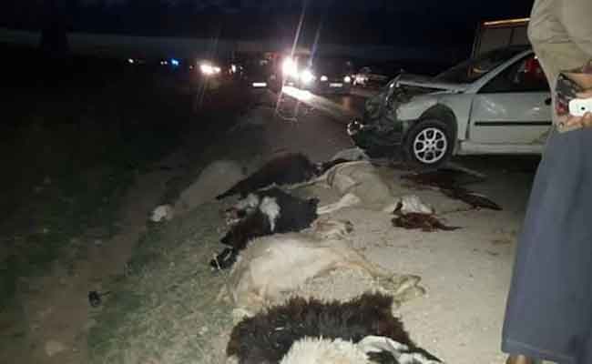 إدانة المتورطين في بقر 58 رأسا من الغنم لموال بحمام الضلعة بالمسيلة بثلاث سنوات حبسا