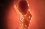 ما هو الحجم الطبيعي للجنين في الشهر الرابع من الحمل؟...