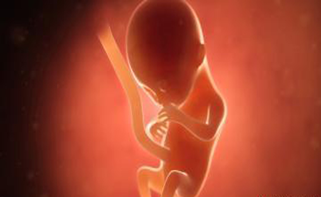 ما هو الحجم الطبيعي للجنين في الشهر الرابع من الحمل؟…