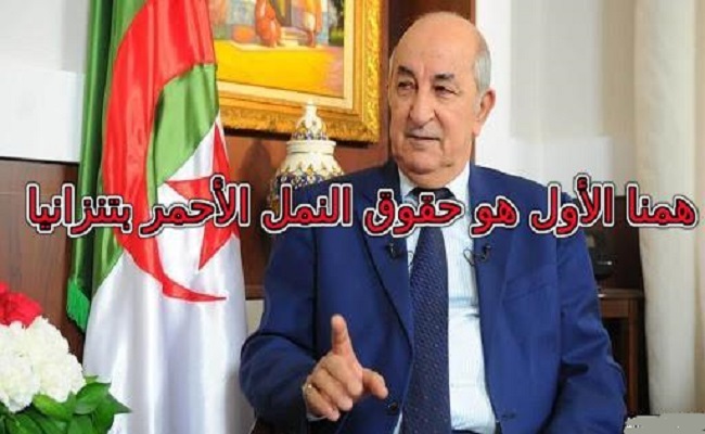الشعب الجزائري يغرق في المشاكل والرئيس تبون نحن مستعدون لحل مشاكل ليبيا ومالي