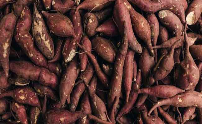 فوائد البطاطا الحلوة ستفاجئكم حقاً…اكتشفوا أهمّها!