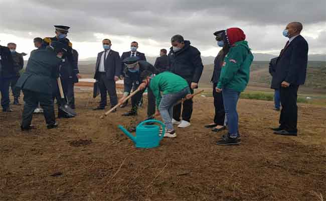 إشراف الوزير الأول جراد على انطلاقة الحملة الوطنية للتشجير
