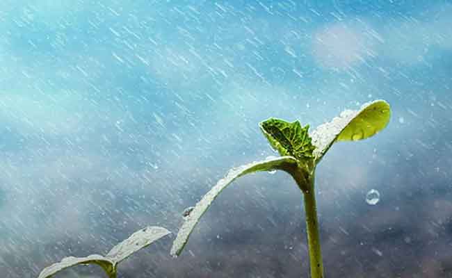 إقامة صلاة  الإستسقاء في كافة ولايات الوطن